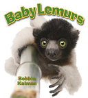 Baby Lemurs cover