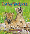 Baby Wolves cover