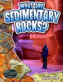 What Are Sedimentary Rocks? cover
