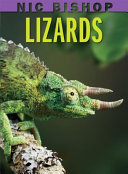 Nic Bishop Lizards (Nic Bishop... Series) cover