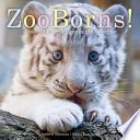 ZooBorns! Zoo Babies from Around the World cover