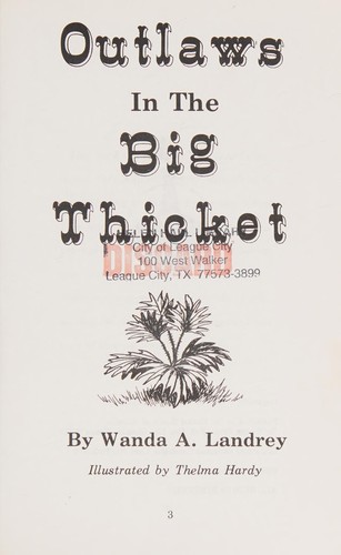 Outlaws in the Big Thicket cover