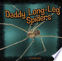 Daddy Long-Leg Spiders cover