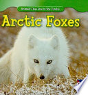 Arctic Foxes cover