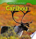 Caribou cover