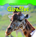 Giraffes cover