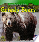 Grizzly Bears cover