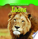 Lions cover