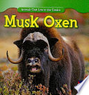 Musk Oxen cover