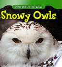 Snowy Owls cover