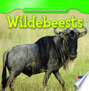 Wildebeests cover