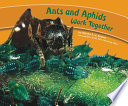 Ants and Aphids Work Together cover