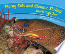 Moray Eels and Cleaner Shrimp Work Together cover