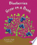 Blueberries Grow on a Bush cover
