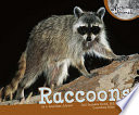 Raccoons cover