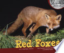 Red Foxes cover