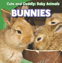 Bunnies cover