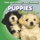 Puppies cover