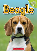 Beagle cover