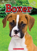 Boxer cover