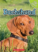 Dachshund cover