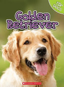 Golden Retriever cover