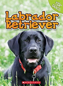 Labrador Retriever cover