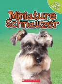 Miniature Schnauzer cover