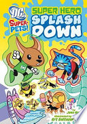 Super Hero Splash Down cover