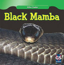 Black Mamba cover