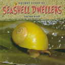 Secret Lives of Seashell Dwellers cover