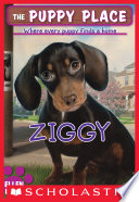 Ziggy cover