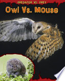Owl vs. Mouse cover