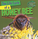 The Life Cycle of a Honeybee cover