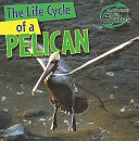 The Life Cycle of a Pelican cover