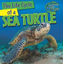 The Life Cycle of a Sea Turtle cover
