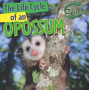 The Life Cycle of an Opossum cover