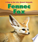 Fennec Fox cover
