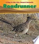 Roadrunner cover