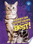 American Shorthairs Are the Best! cover