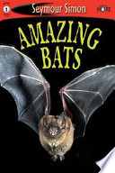 Vampire Bats cover