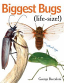 Biggest Bugs (Life-Size!) cover