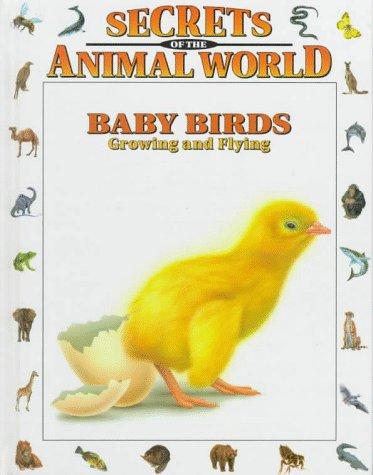 Baby Birds: Growing and Flying cover