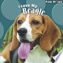 I Love My Beagle cover