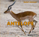 Antelope cover