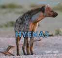 Hyenas cover