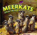 Meerkats: Life in the Mob cover