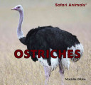 Ostriches cover