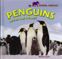Penguins: Life in the Colony cover