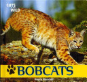 Bobcats cover